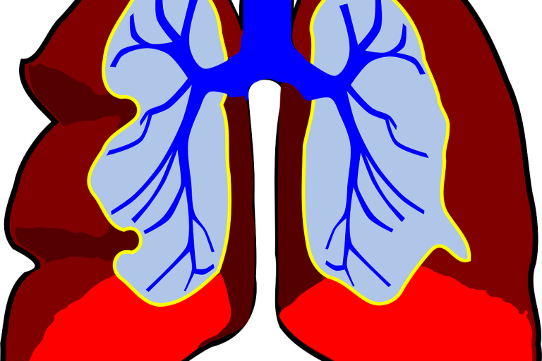 gefaesse Coenzym Q10 Vitamin B6 gefaesse Coenzym Q10 Vitamin B6