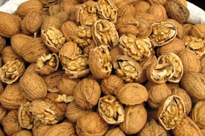walnüsse herz cholesterin walnüsse herz cholesterin