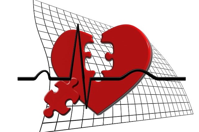 gesundes herz kreislauf gesundes herz kreislauf