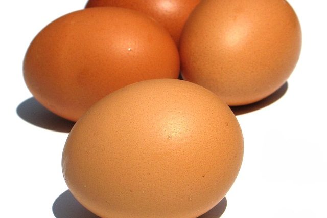 Eier Vitamin D Gehalt Eier Vitamin D Gehalt