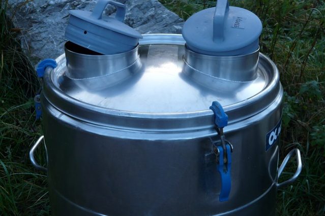 Whey Protein, Kasein und Muskelaufbau