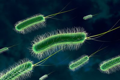 Immunsystem mit Vitaminen stärken