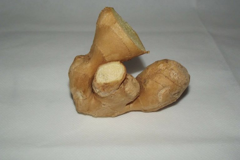 Ingwer schmerzstillende wirkung bei arthrose Ingwer schmerzstillende wirkung bei arthrose