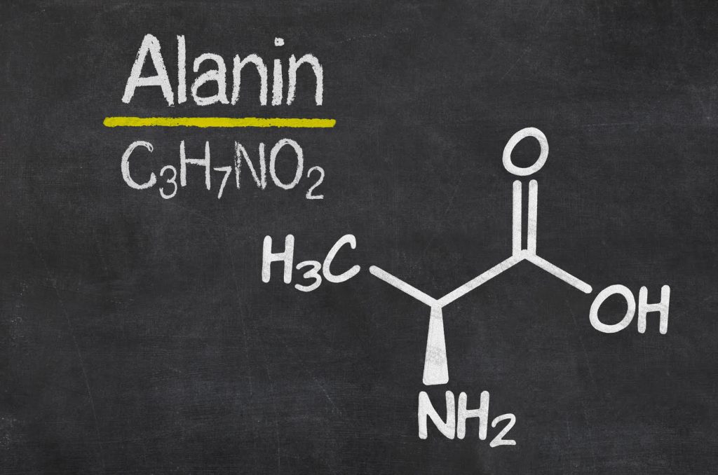 L-Alanin: Funktionen Wirkungen Dosierung Nebenwirkungen