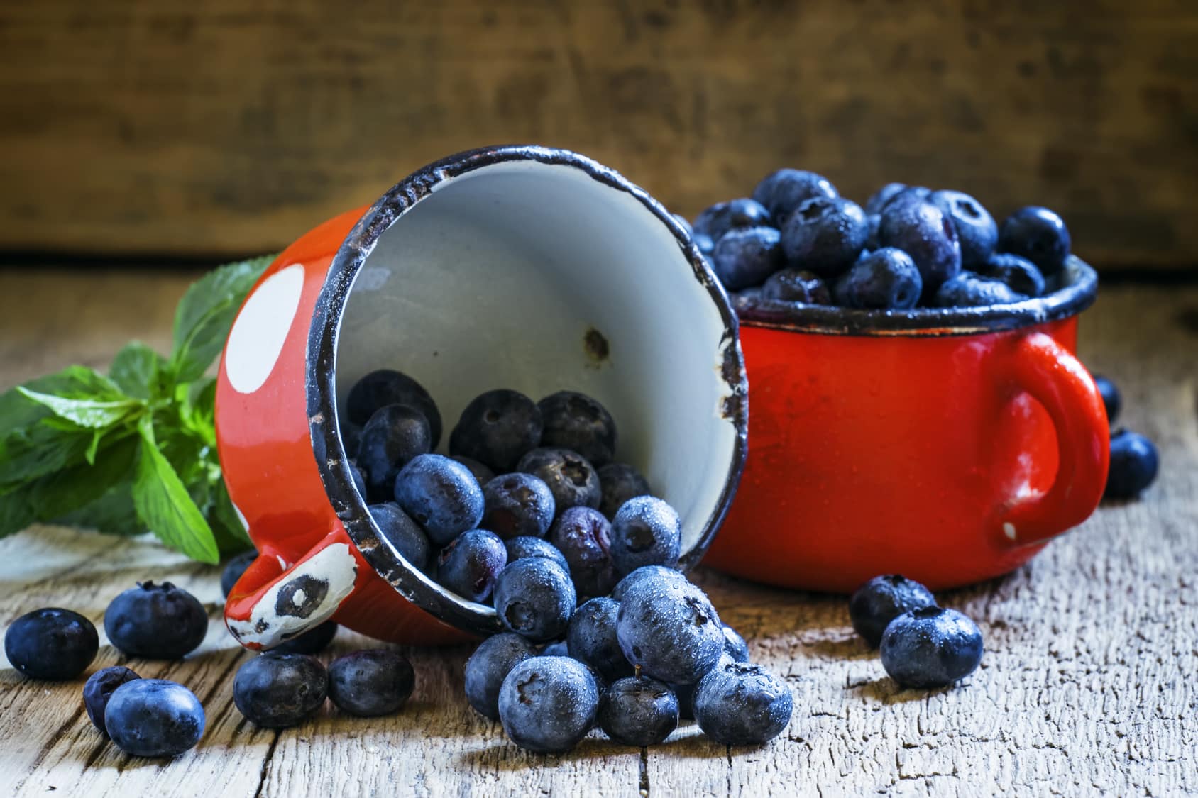 Heidelbeeren und Cholesterinspiegel Heidelbeeren und Cholesterinspiegel