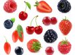 Resveratrol