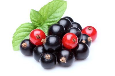 Cranberry Wirkung Cranberry Wirkung