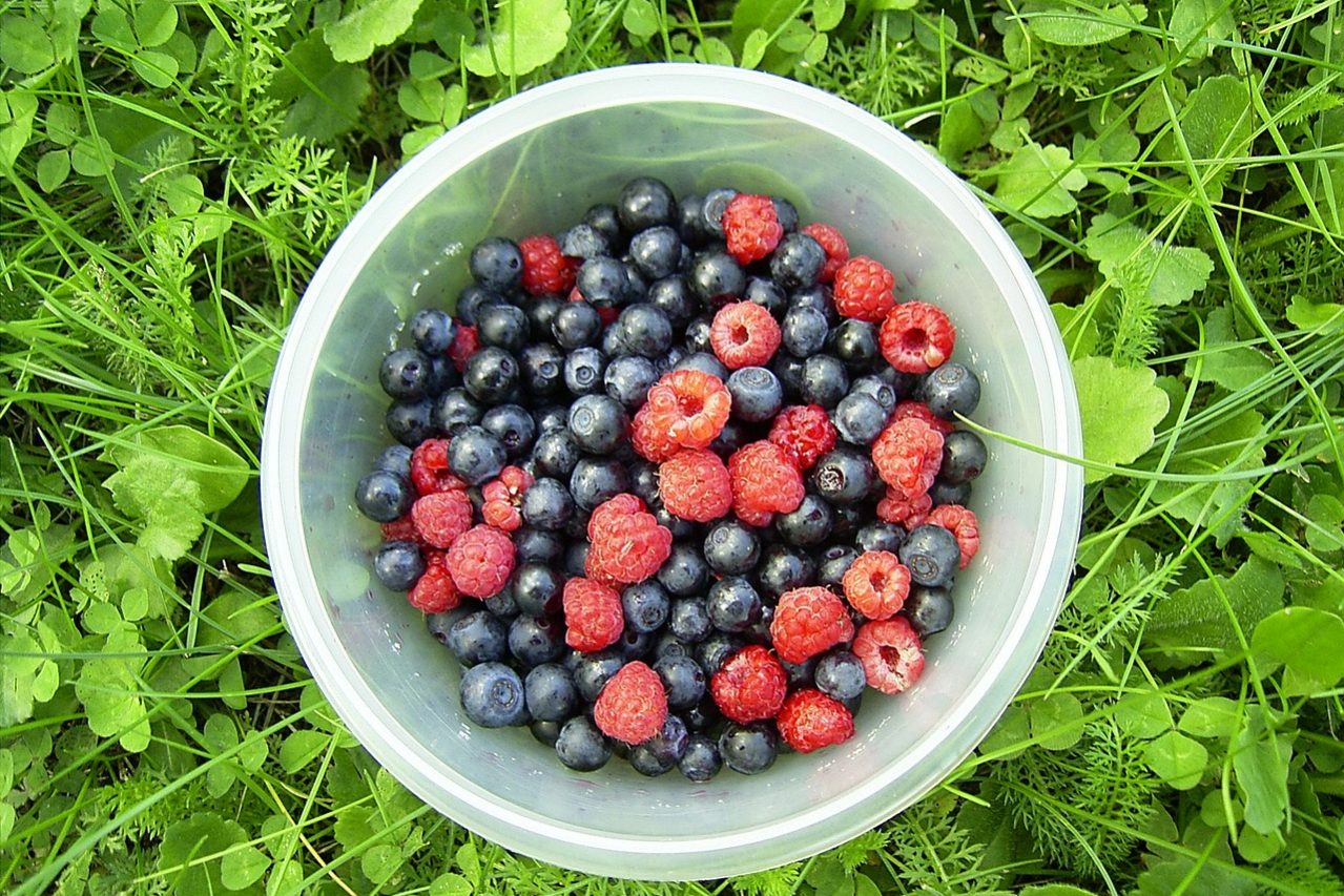 Acai gegen Demenz Acai gegen Demenz