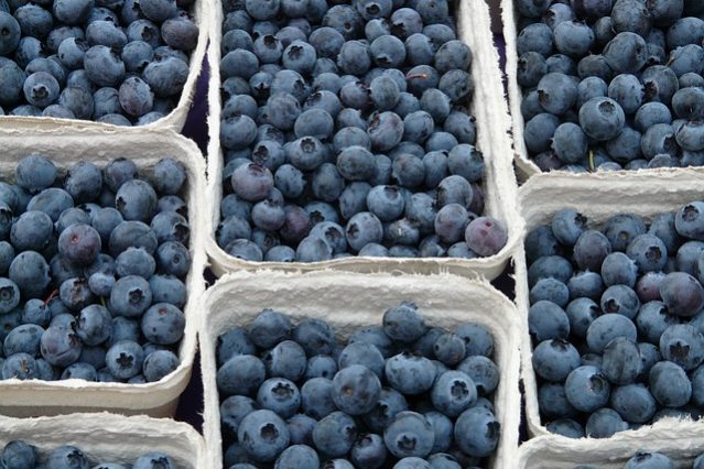 Blaubeeren und Bluthochdruck Blaubeeren und Bluthochdruck