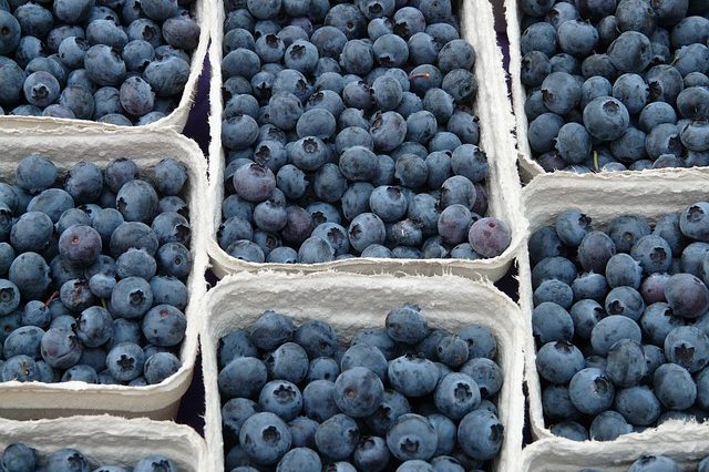 Blaubeeren und Bluthochdruck Blaubeeren und Bluthochdruck