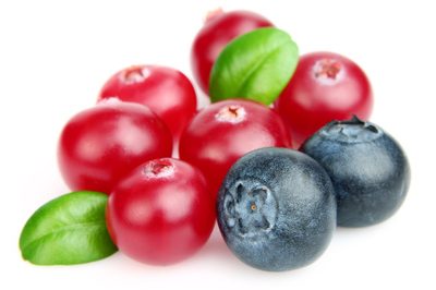 Cranberries zeigen antivirale Wirkung Cranberries zeigen antivirale Wirkung