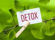 Skin Detox mit Traubenkernextrakt