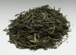 Grüner Tee und OPC