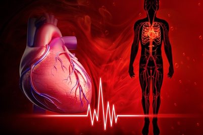Vitamin K und Arteriosklerose Bluthochdruck Vitamin K und Arteriosklerose Bluthochdruck