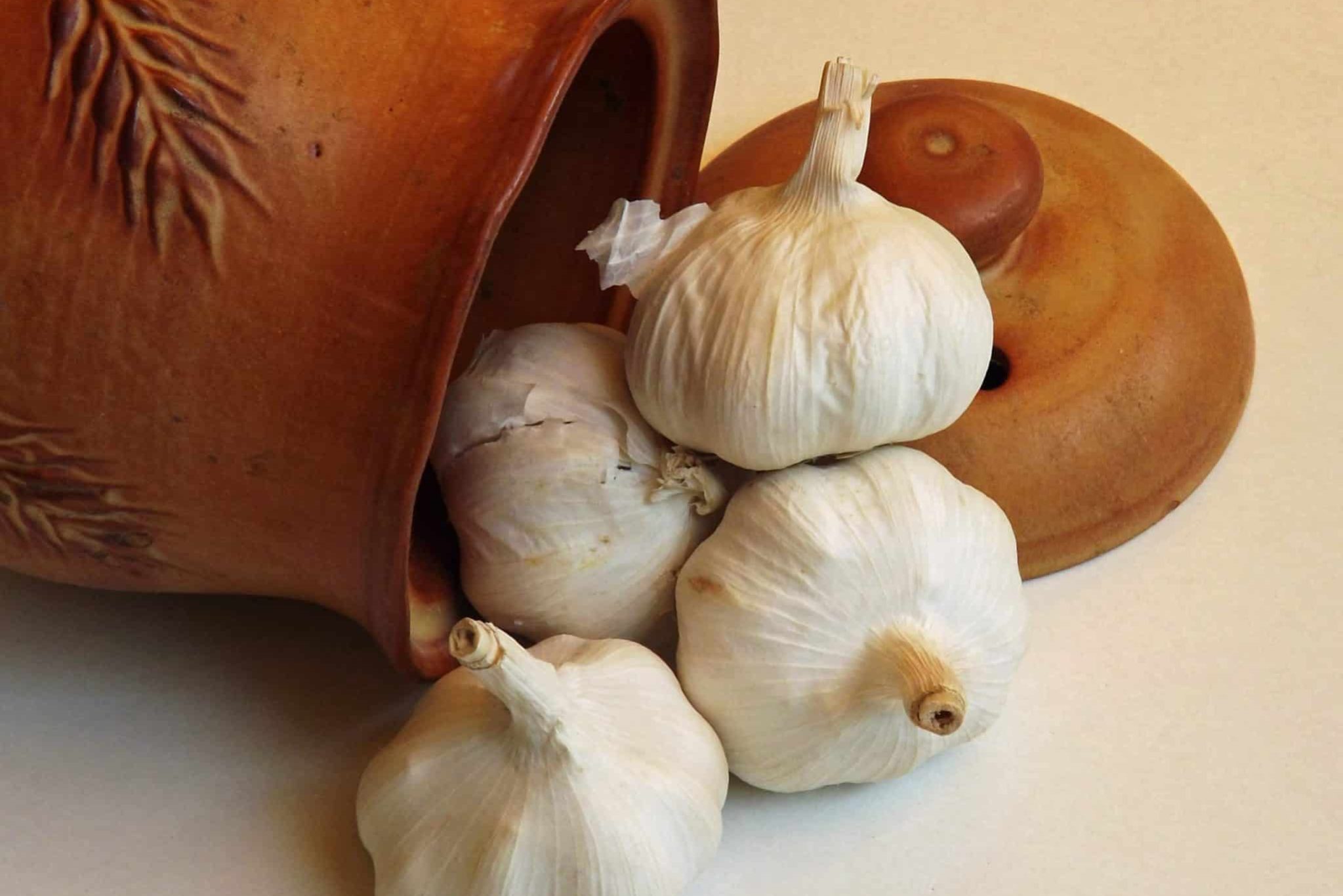 knoblauch senkt Cholesterinspiegel knoblauch senkt Cholesterinspiegel
