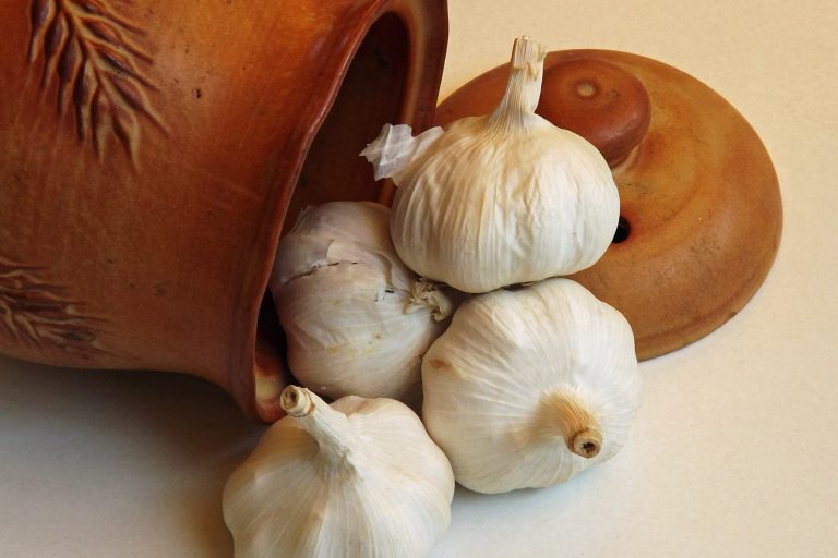 knoblauch senkt Cholesterinspiegel knoblauch senkt Cholesterinspiegel