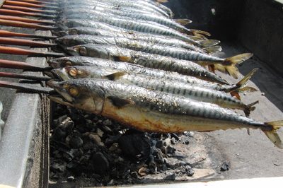 omega 3 fisch adhs omega 3 fisch adhs