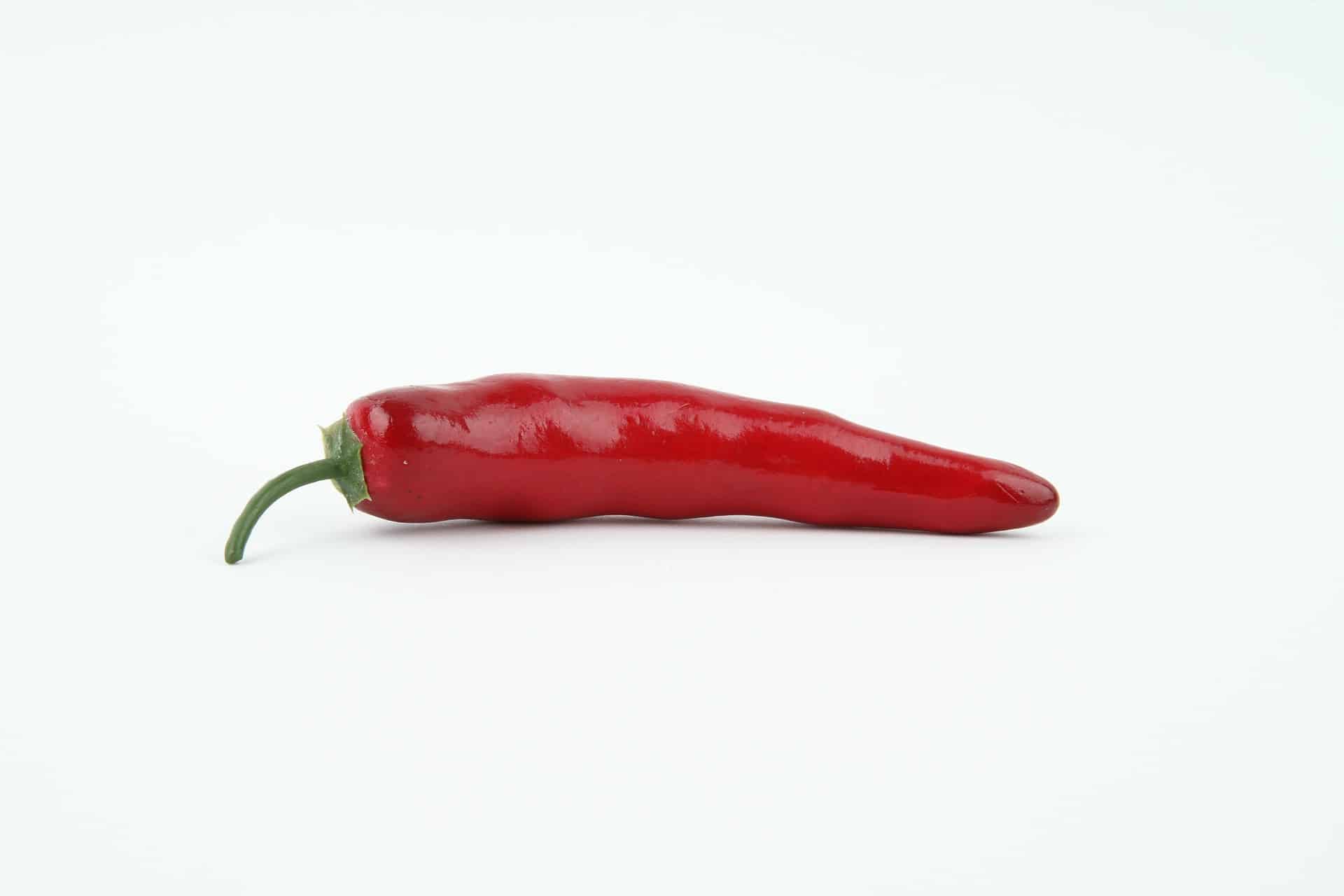 Mit Capsaicin abnehmen Mit Capsaicin abnehmen
