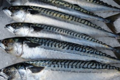 Krebs Omega-3 EPA Krebs Omega-3 EPA