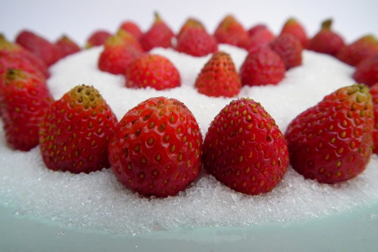 Tiefkühl Gemüse und Obst Vitamingehalt Tiefkühl Gemüse und Obst Vitamingehalt