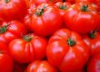 tomaten lycopen Hautkrebs
