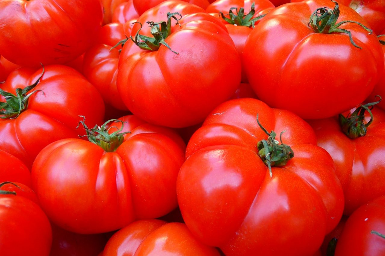 tomaten lycopen Hautkrebs tomaten lycopen Hautkrebs