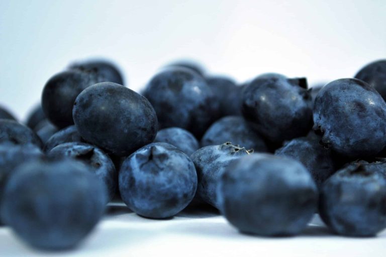 Blaubeeren Blaubeeren